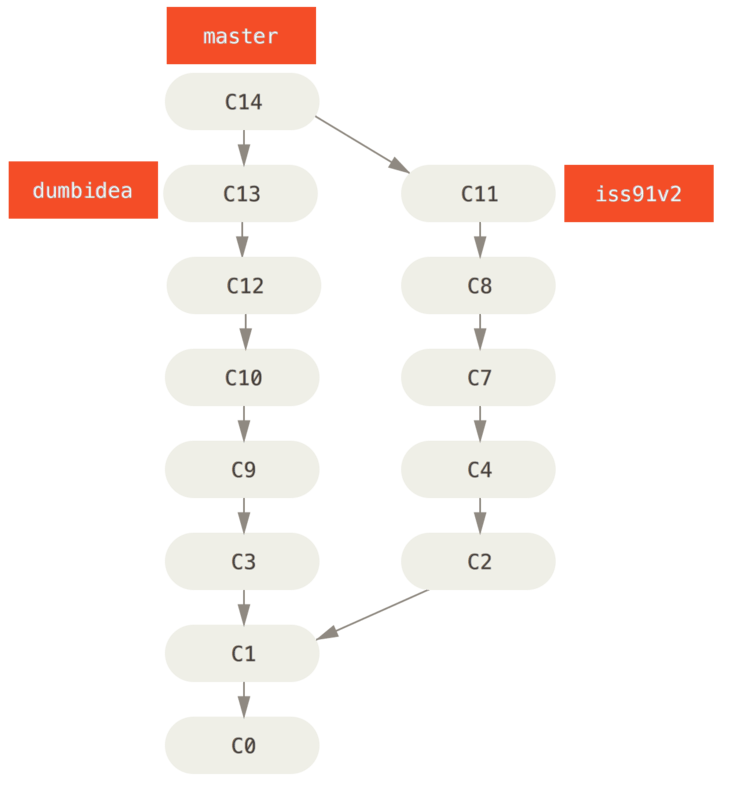 Git_branch21