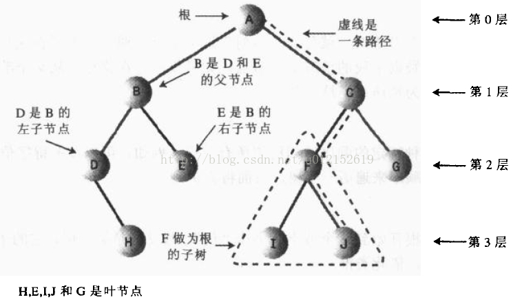 树概括